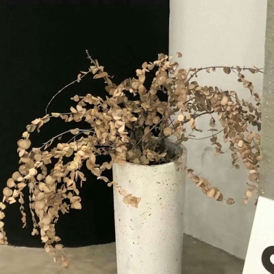 宕昌FurryQQ群介绍